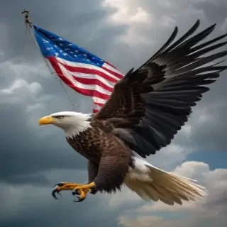 freedom desktop backgrounds