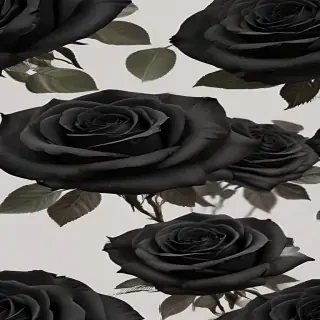 black roses png