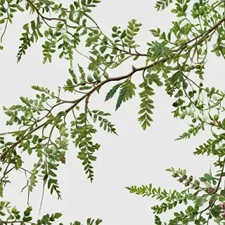 png branches