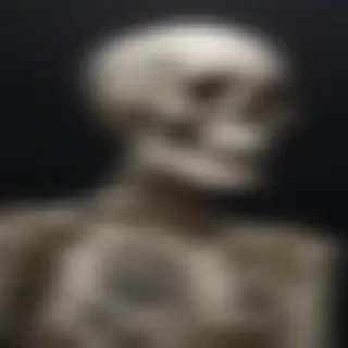 skeleton wallpaper