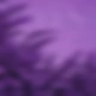 purple aesthetic iphone wallpaper