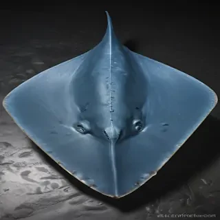 stingray png