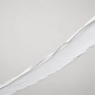 white line png