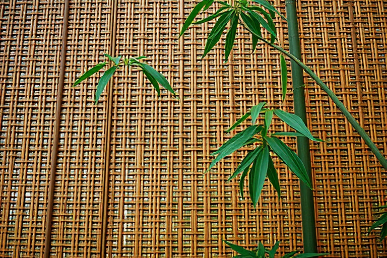 Create a high-resolution image of a woven bamboo pattern in natural light, using a DSLR camera with a 50mm lens at f/8, ISO 200, shutter speed 1/125s, overhead angle, shallow depth of field, and vibrant color enhancement.