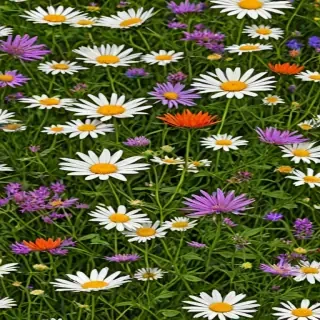 wildflower background