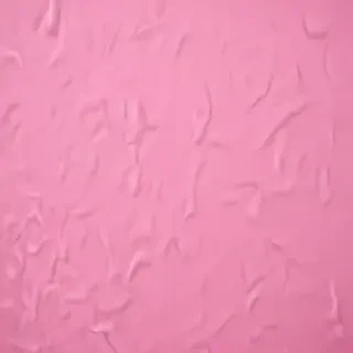 pink cover photo