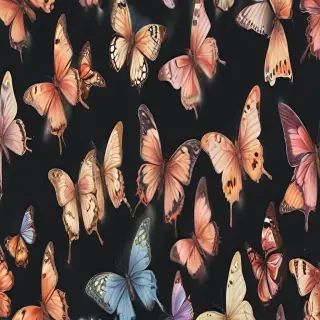 aesthetic butterflies