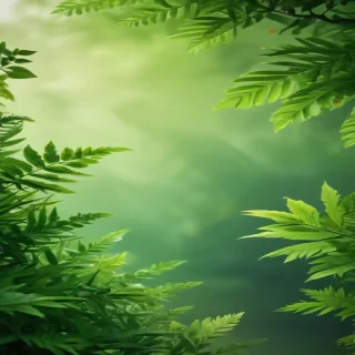 green background for iphone