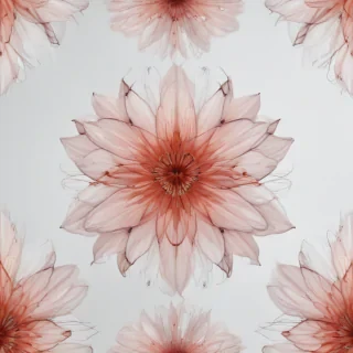 transparent flower outline