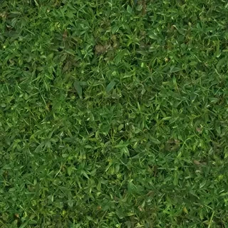 weeds png