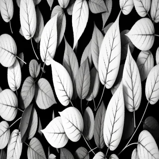 leaves black and white