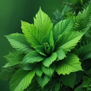 green iphone wallpaper