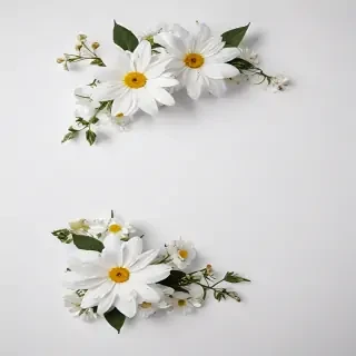 white background with flowers