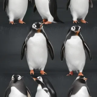 penguin background
