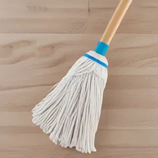 mop png