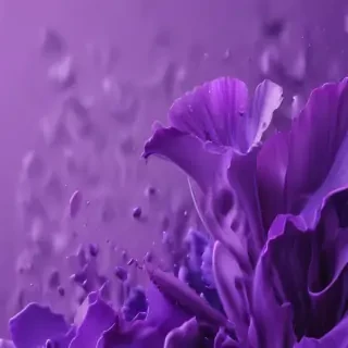 purple aesthetic wallpapers iphone