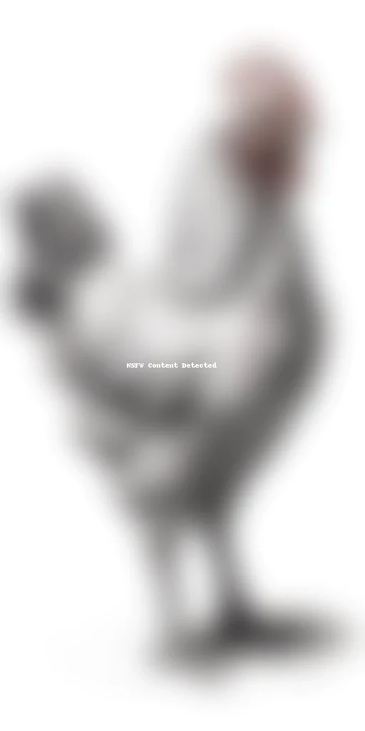chicken drawing