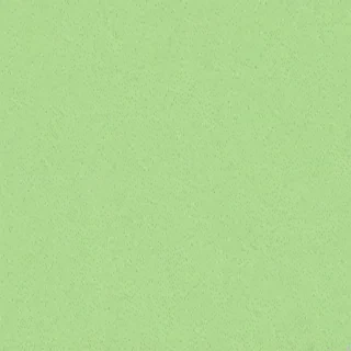 light green background plain