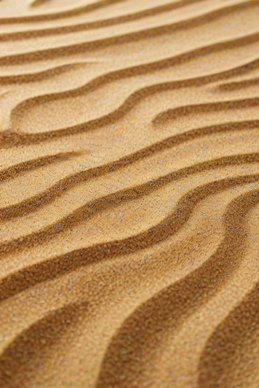 cartoon sand