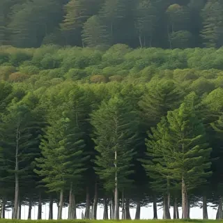 background trees