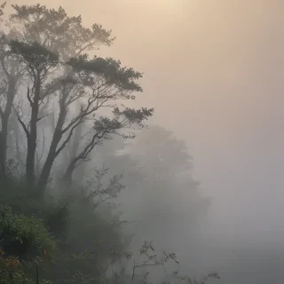 foggy background