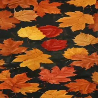 fall leaf png
