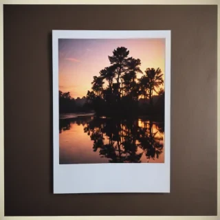 aesthetic polaroid frame