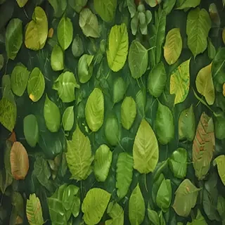 leaf backgrounds