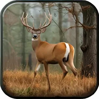 deer hunting screensavers