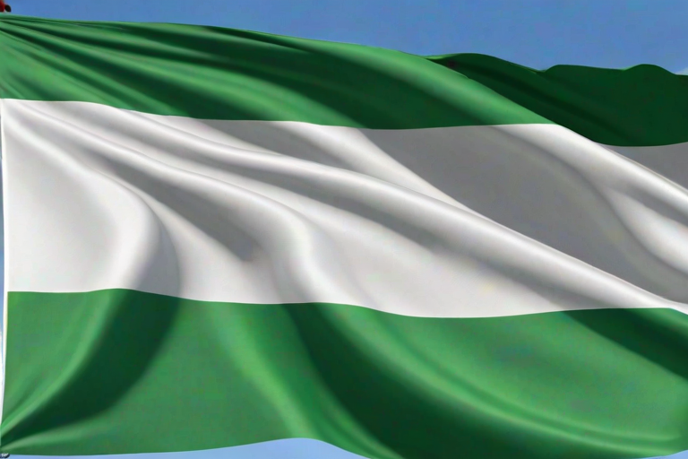 nigeria flag png