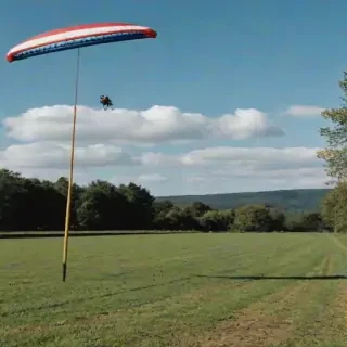 boing boing