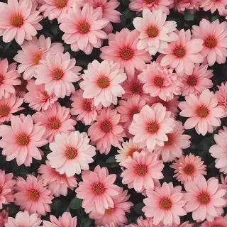cute aesthetic flower wallpaper