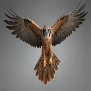 falcon png