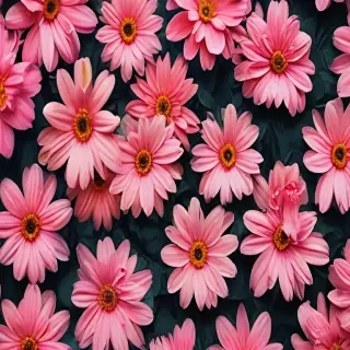 flower wallpaper phone