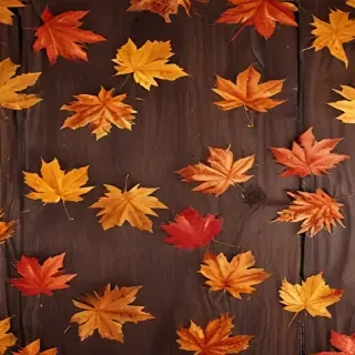 iphone wallpaper fall
