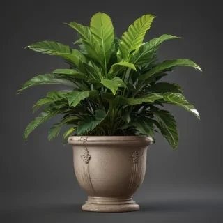 potted plant png