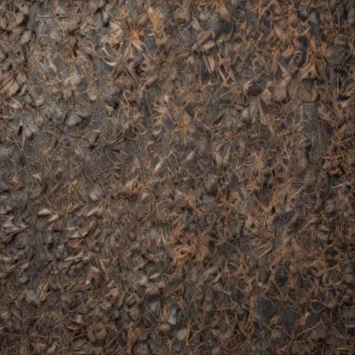 scratchy texture