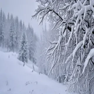 snow wallpaper iphone
