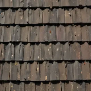 pictures of shingles