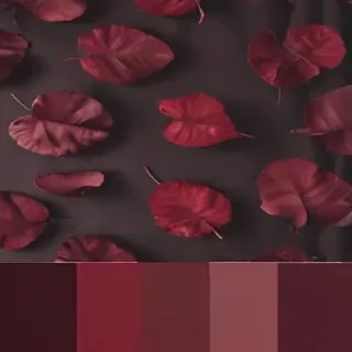 maroon aesthetic