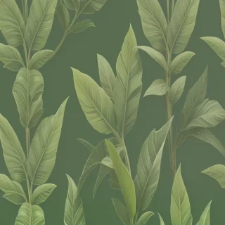 plant wallpaper iphone