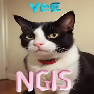 yes gif