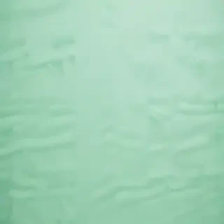 mint green background