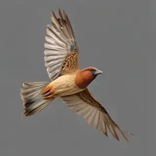 birds flying transparent background