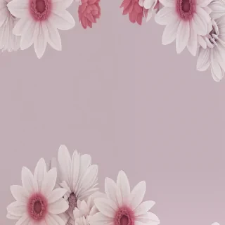 flower wallpaper iphone aesthetic