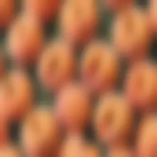 peach background aesthetic