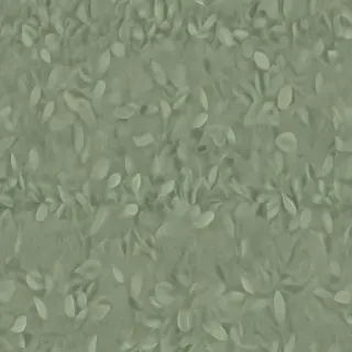 sage green photos