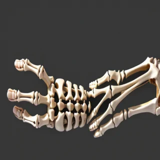 skeleton hand png