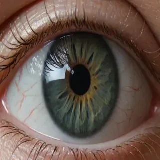png eyeball