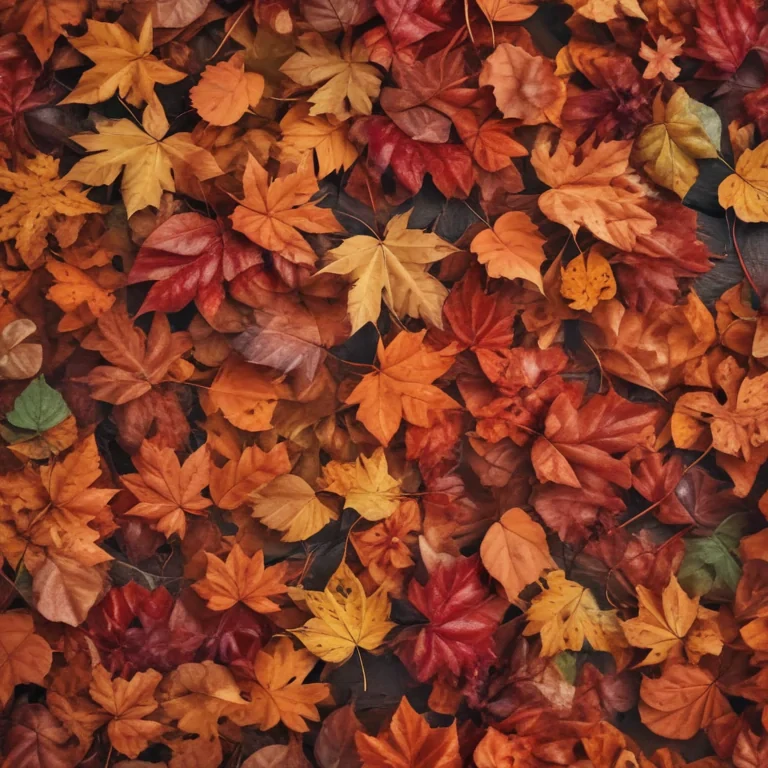 autumn leaves iphone wallpaper